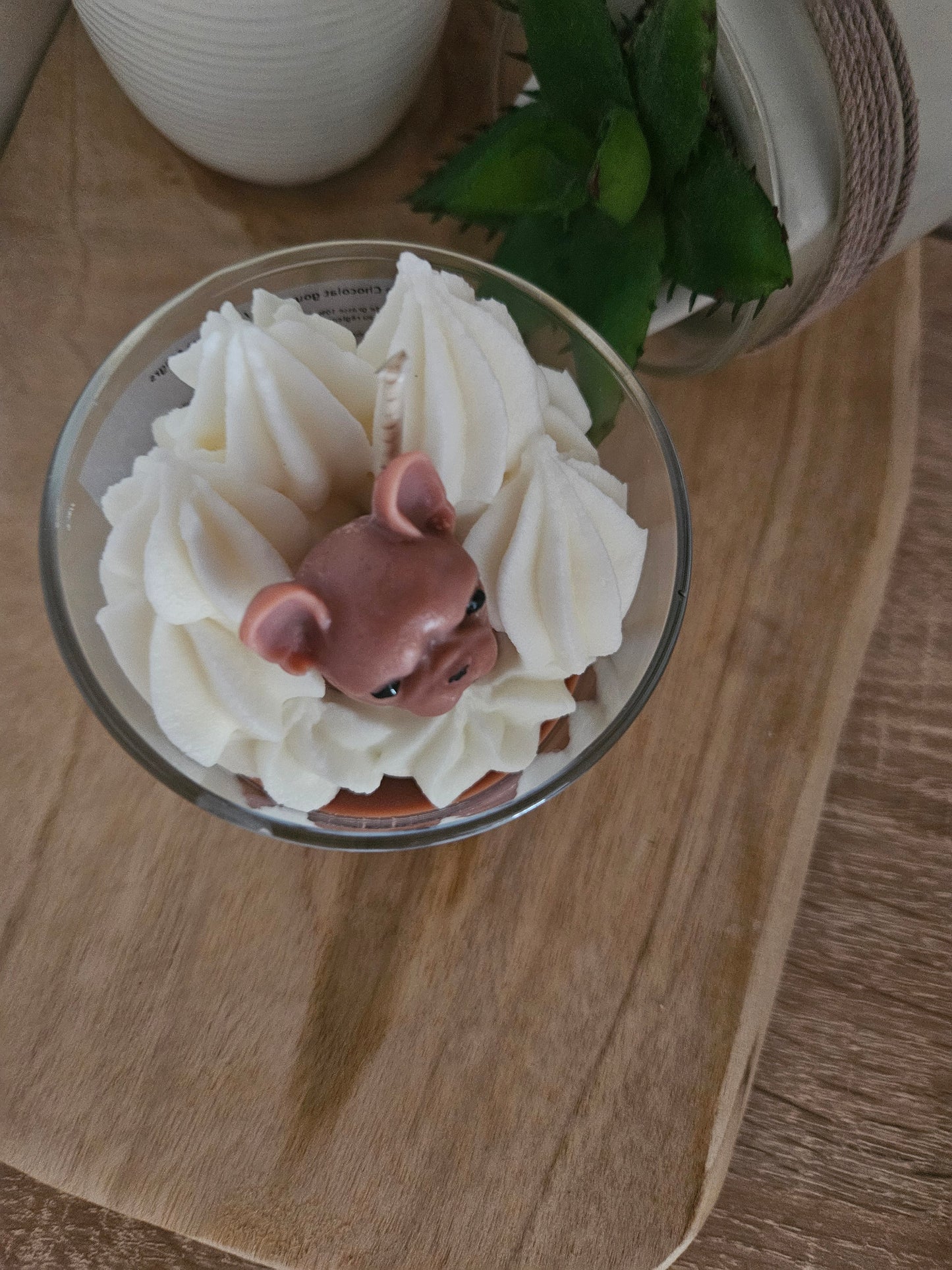 Bouledogue en Vedette : Bougie senteur Chocolat gourmand