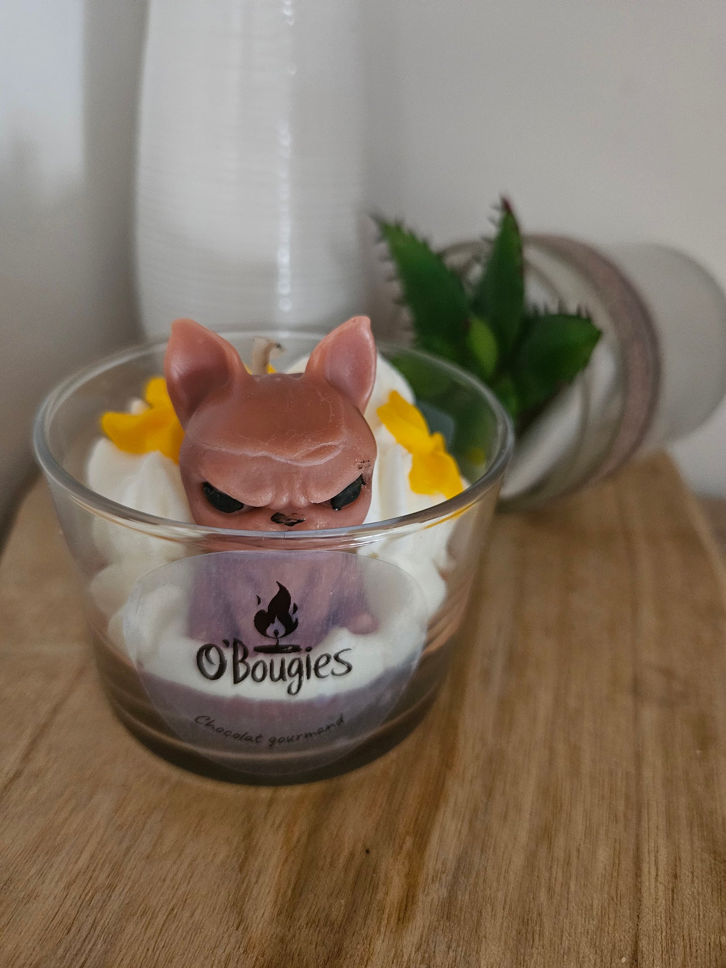 Chihuahua en Vedette : Bougie senteur Chocolat gourmand